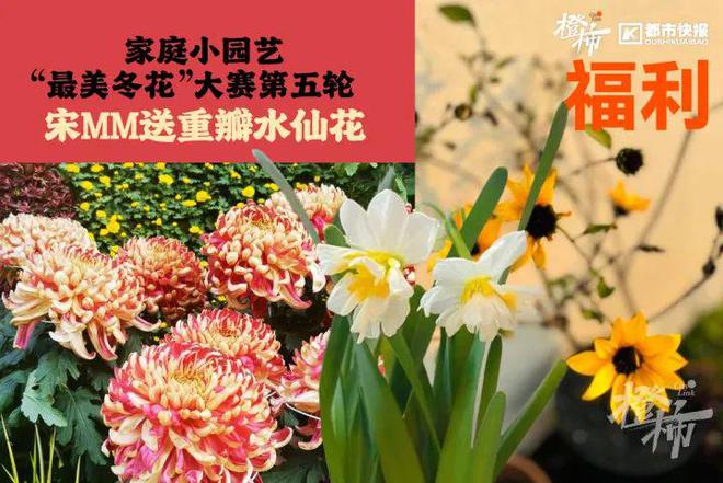 霸王茶姬动物手机支架……橙柿超多福利送送送爱游戏app体育时髦人都有的巴拉克拉法帽、(图5)